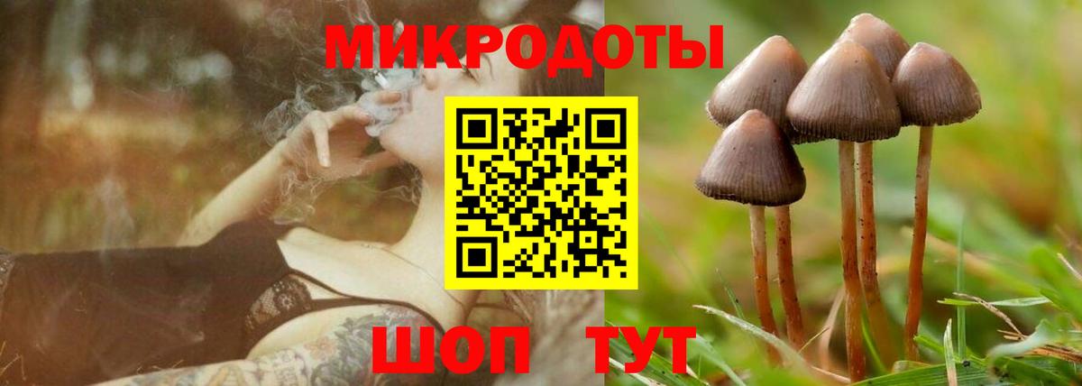 Псилоцибиновые грибы MAGIC MUSHROOMS Холмск